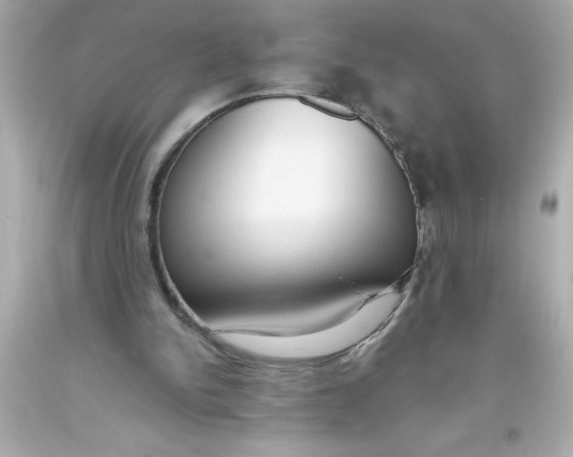 X0000093380150200711011257