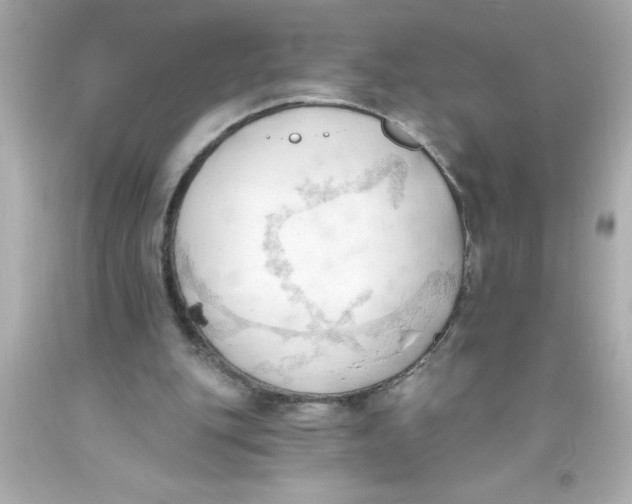 X0000093380151200711011257