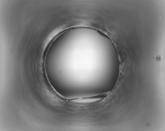 X0000093380152200711011257