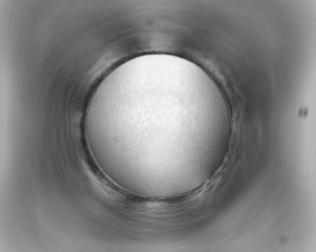 X0000093380154200711011257