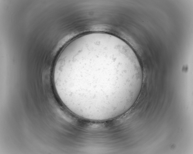 X0000093380155200711011257