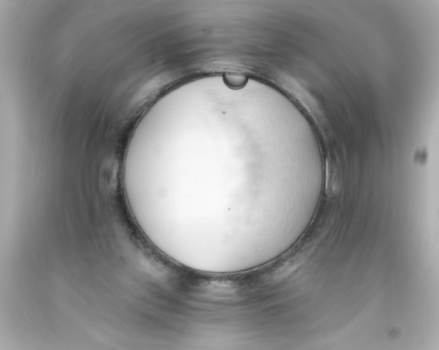 X0000093380157200711011257