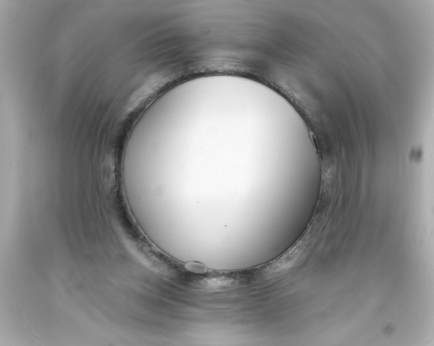 X0000093380158200711011257