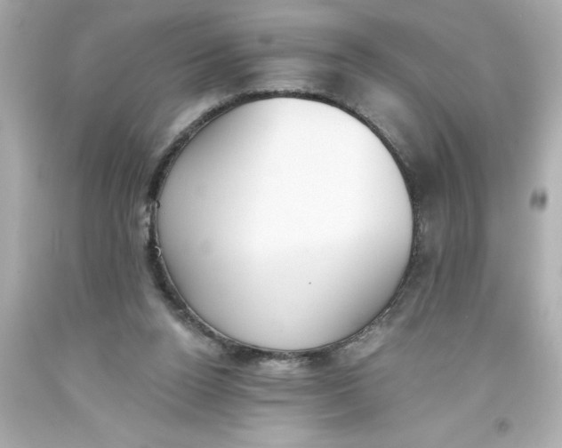 X0000093380160200711011257