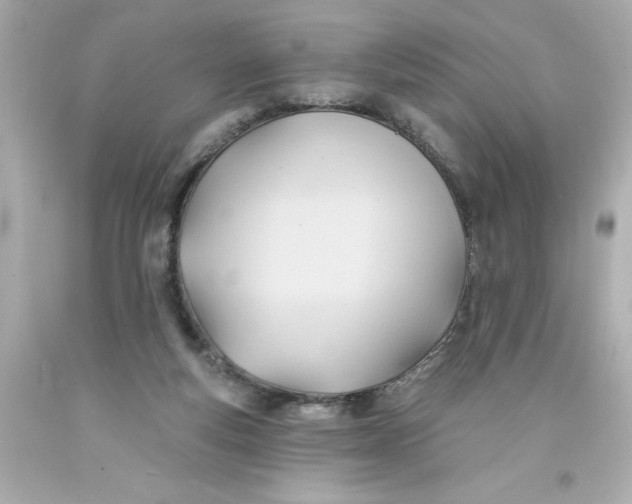 X0000093380163200711011257