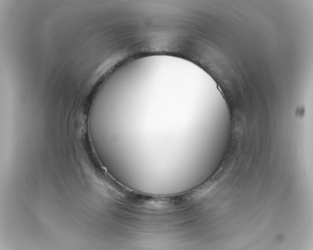 X0000093380164200711011257