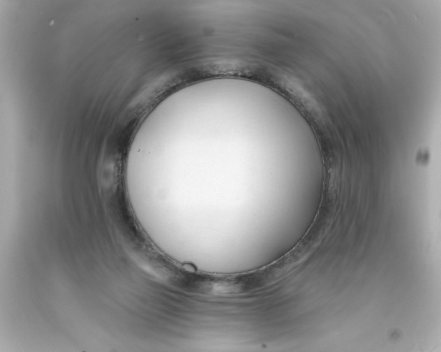 X0000093380165200711011257