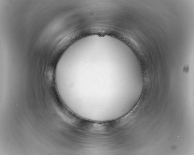 X0000093380166200711011257