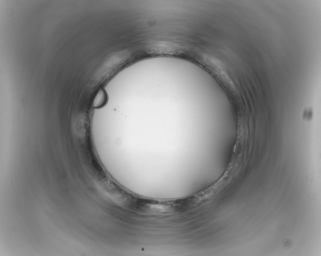 X0000093380167200711011257