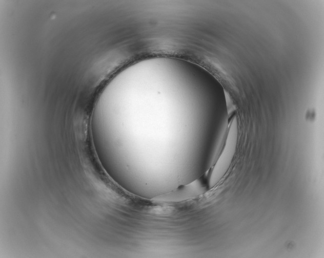 X0000093380168200711011257