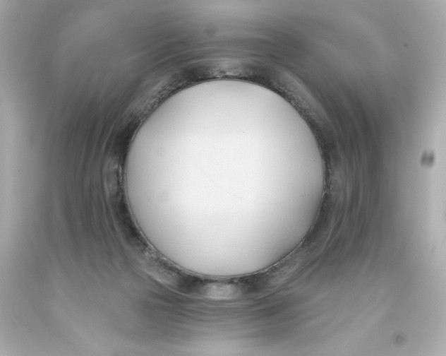 X0000093380169200711011257