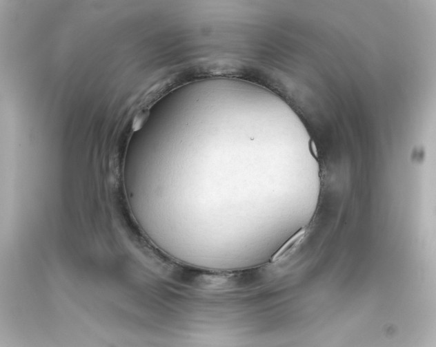 X0000093380170200711011257