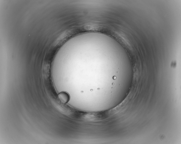 X0000093380171200711011257