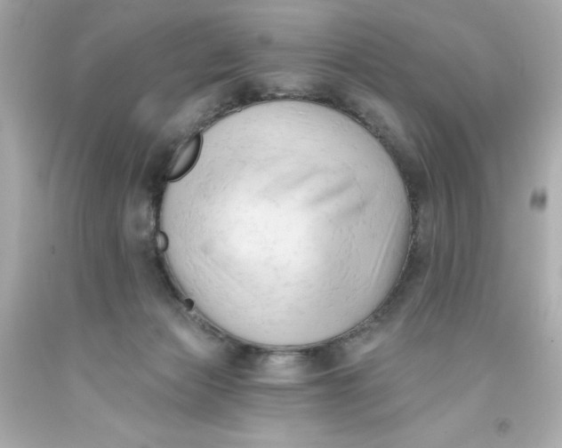 X0000093380173200711011257