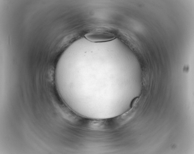 X0000093380175200711011257