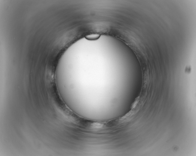 X0000093380176200711011257