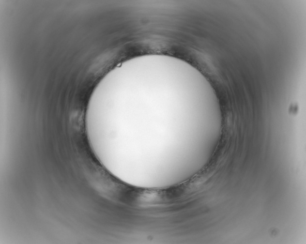 X0000093380177200711011257