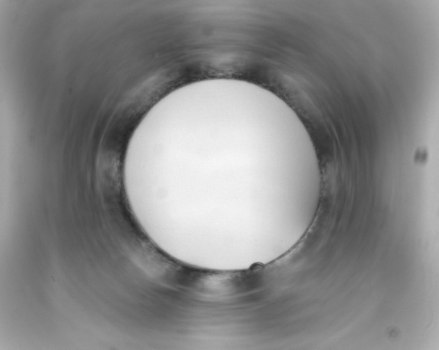 X0000093380178200711011257