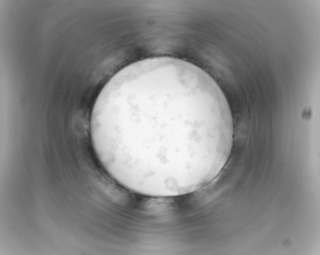 X0000093380179200711011257