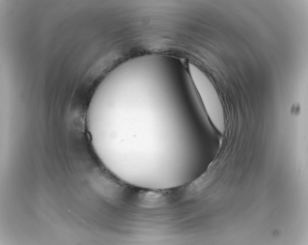 X0000093380180200711011257