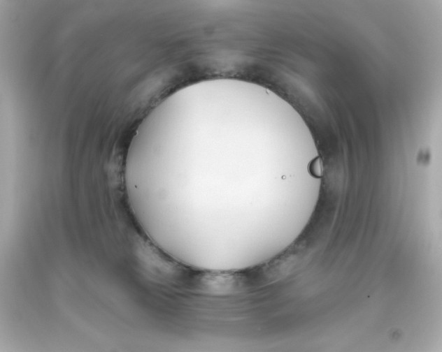 X0000093380181200711011257