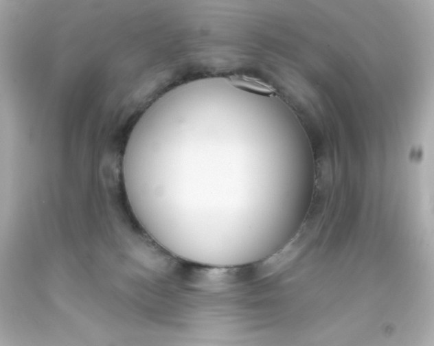 X0000093380184200711011257