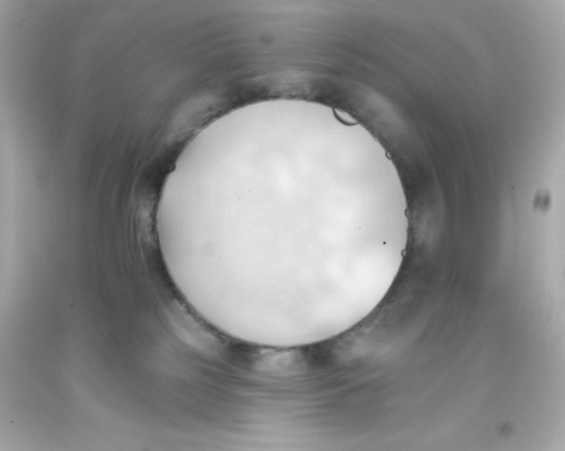 X0000093380185200711011257