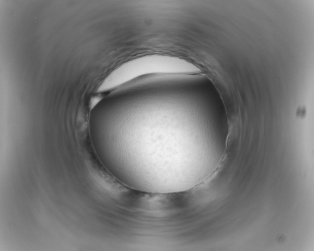 X0000093380186200711011257