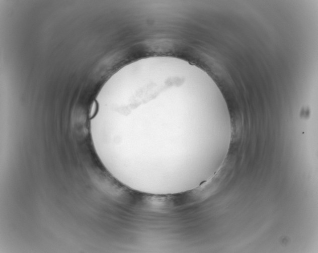 X0000093380187200711011257