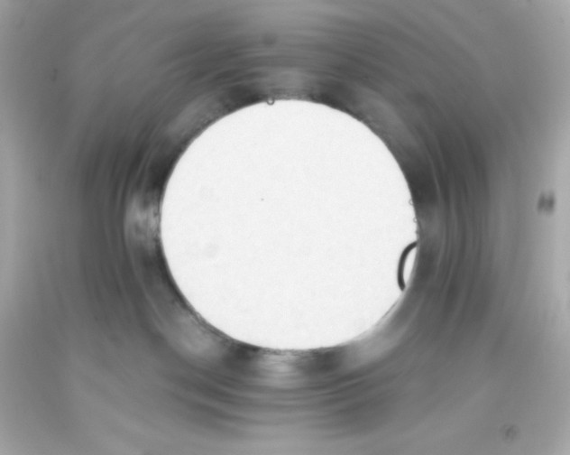 X0000093380190200711011257