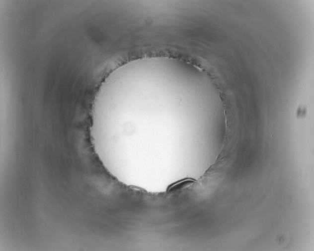 X0000093380192200711011257