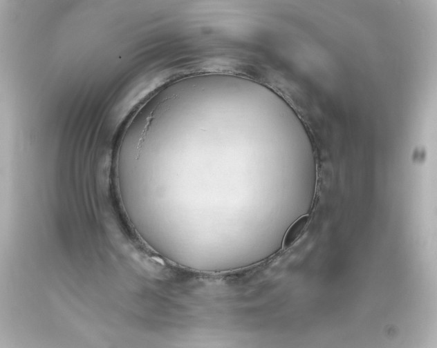 X0000093380194200711011257