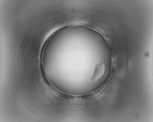 X0000093380196200711011256