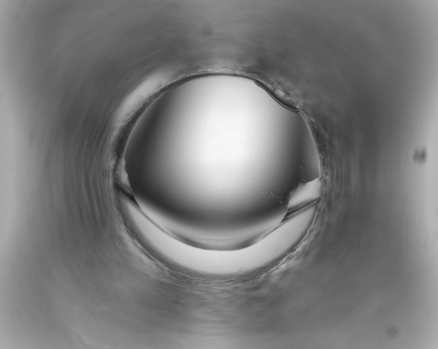 X0000093380197200711011256