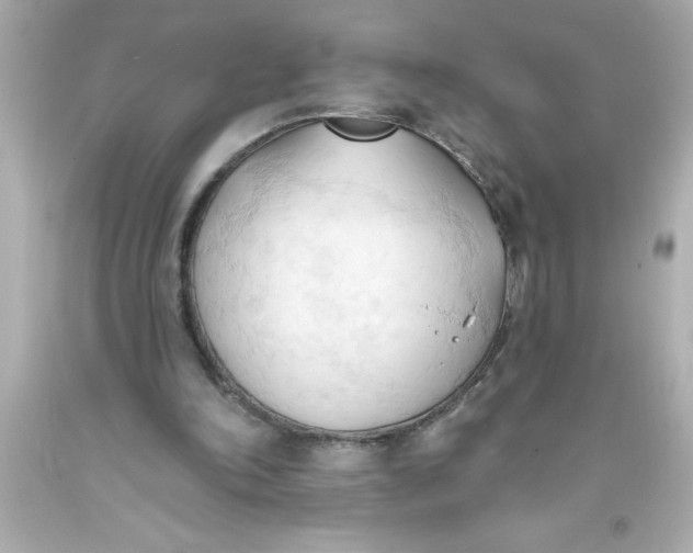 X0000093380198200711011256