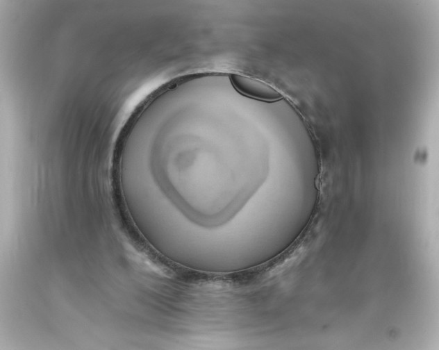 X0000093380200200711011256