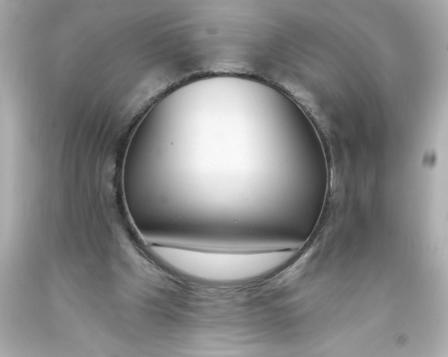 X0000093380201200711011256