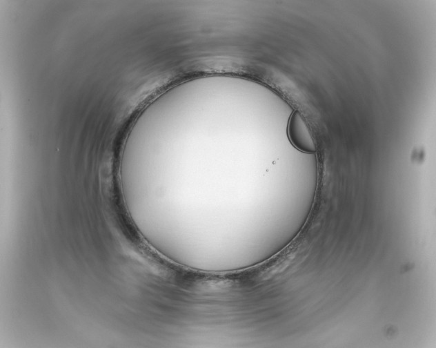 X0000093380202200711011256