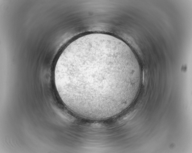 X0000093380204200711011256