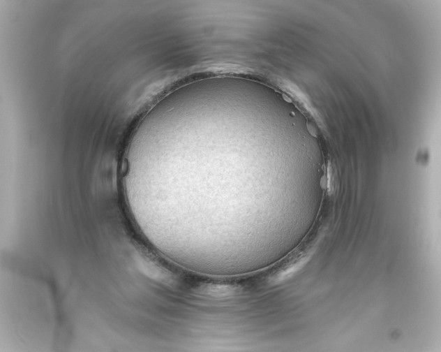 X0000093380205200711011256