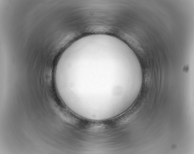 X0000093380206200711011256