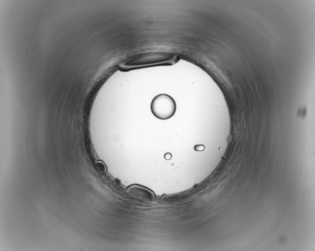 X0000093380207200711011256