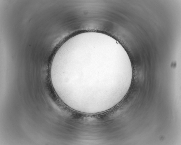 X0000093380208200711011256