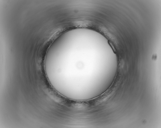 X0000093380209200711011256