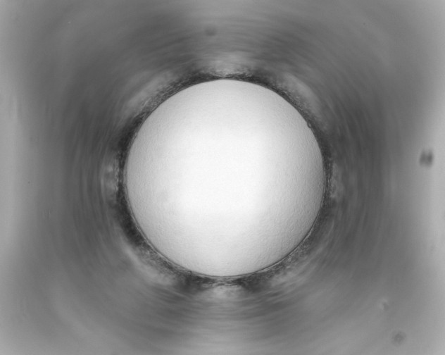 X0000093380210200711011256