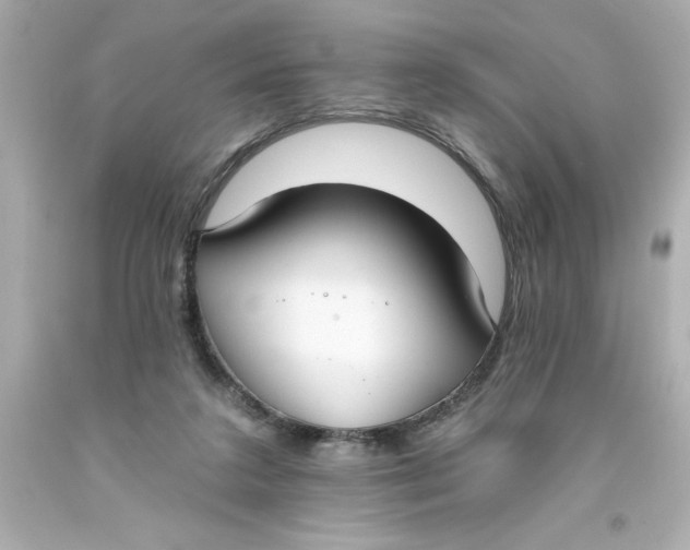 X0000093380211200711011256