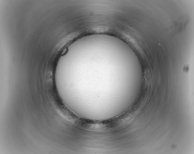 X0000093380212200711011256