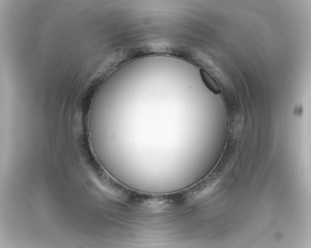 X0000093380213200711011256