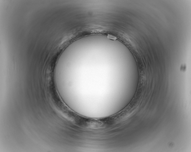 X0000093380215200711011256