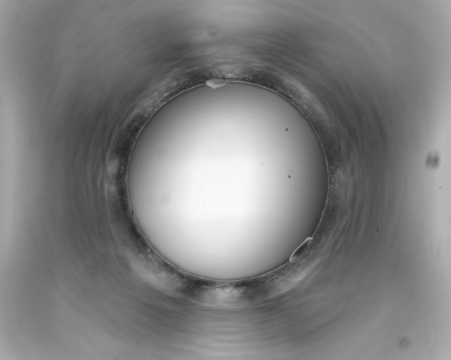 X0000093380217200711011256